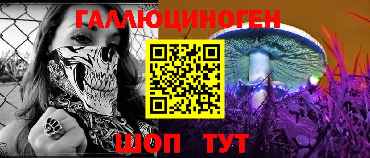 Псилоцибиновые грибы Cubensis Камышлов